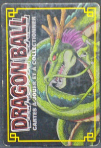 trading card game jcc carte dragon ball z collection Cartes À Jouer Et À Collectionner Part 7 D-570 bandai dbz chaozu