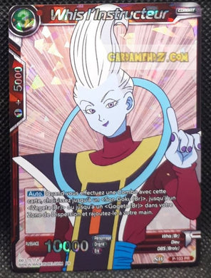 P-103 PR (FR) (foil)