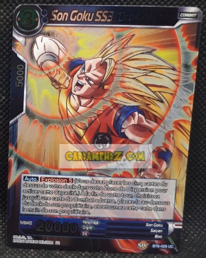 BT6-029 UC (2019) (fr)