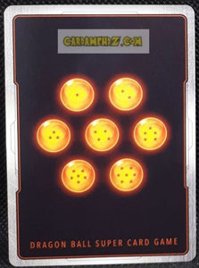 EX02-01 EX ( foil us)