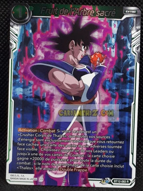 Carte Dragon Ball Super Card Game Fr Unison Warrior Series 3 BT12-083 R (2021) bandai fruit de l arbre sacré dbscg prisme foil holo cardamehdz point com mehdz atout