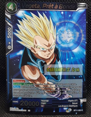 BT11-053 R (2020) (fr) (foil)