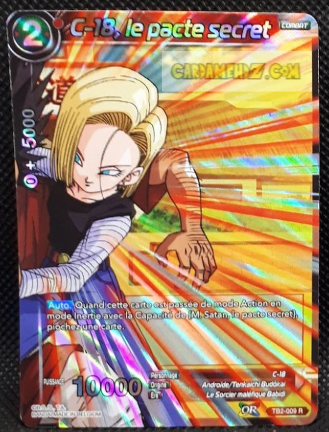 Carte Dragon Ball Super Card Game Fr World Martial Arts Tournament TB2-009 R (2018) (fr) bandai c 18 le pacte secret dbsg rare prisme foil holo cardamehdz point com mehdz atout