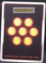 Charger l&#39;image dans la galerie, BT10-044 SR (fr)