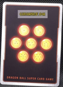 BT10-044 SR (fr)