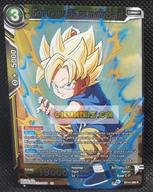 Carte Dragon Ball Super Card Game Unison Warrior Series Set 05 BT14-096 R (2021) (fr) (foil) bandai songoku ss se maitrisant dbscg prisme holo cardamehdz point com mehdz atout