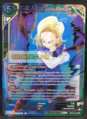 BT18-144 SR (Fr) (2022)