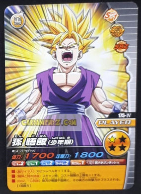 Carte Dragon Ball Z Data Carddass W Bakuretsu Impact Part 4 n°175-IV (2008) bandai songohan dbz cardamehdz point com