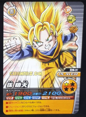 Carte Dragon Ball Z Data Carddass W Bakuretsu Impact Part 5 n°224-IV (2009) bandai songoten dbz cardamehdz point com