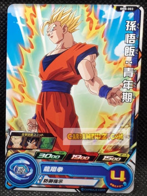 Super Dragon Ball Heroes big bang mission part 8 BM8-003 (2021)