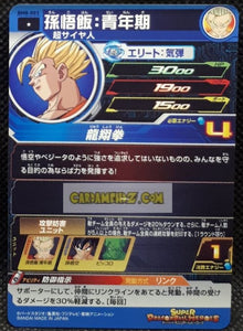 Super Dragon Ball Heroes big bang mission part 8 BM8-003 (2021)