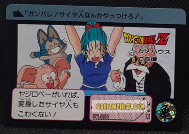 Carte dragon ball Z Carddass Part 91 n° 163 (1991) bandai bulma puar oolong tortue geniale dbz cardamehdz point com mehdz atout
