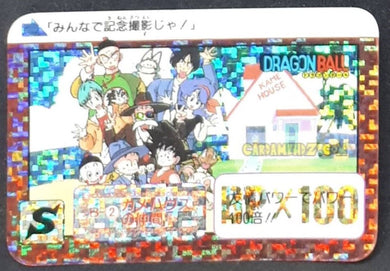 Carte dragon ball carddass half part 1 n° B-2 (1992) bandai db team dbz prisme foil holo cardamehdz point com