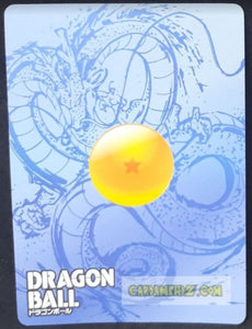 Carte dragon ball super trading card LZ01-SR20 (2014) star picture champa silver regular cardamehdz point com