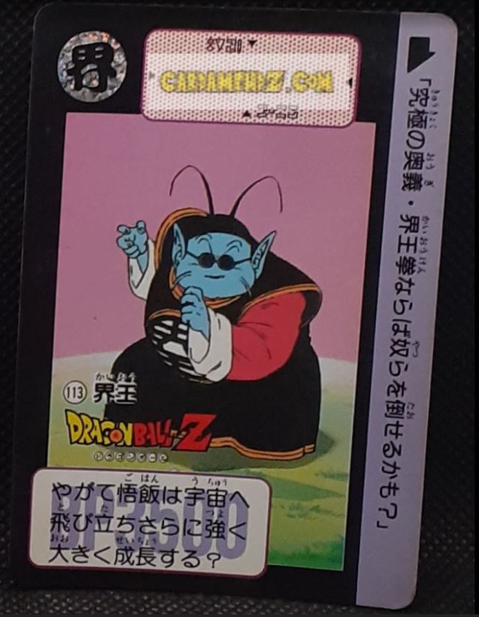 carddass part 91 n° 113 (1991)