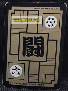 carddass part 91 n° 113 (1991)