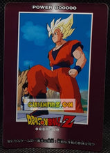 Charger l'image dans la galerie, pp card part 21 n° 924 (1993)