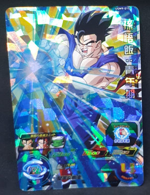 Super dragon ball heroes Ultra god mission part 9 UGM9-015 (2023) bandai songohan sdbh sr prisme foil holo cardamehdz 