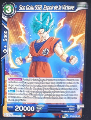 Carte Dragon Ball Super Card Game Fr Rise of the Unison Warrior BT10-036 UC (2020) bandai songoku ssb espoir de la victoire dbscg cardamehdz