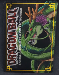 Carte Dragon Ball Z Cartes À Jouer Et À Collectionner Part 5 n°D-589 (pouvoir caché main) (2007) Bandai c-18 dbz cardamehdz verso