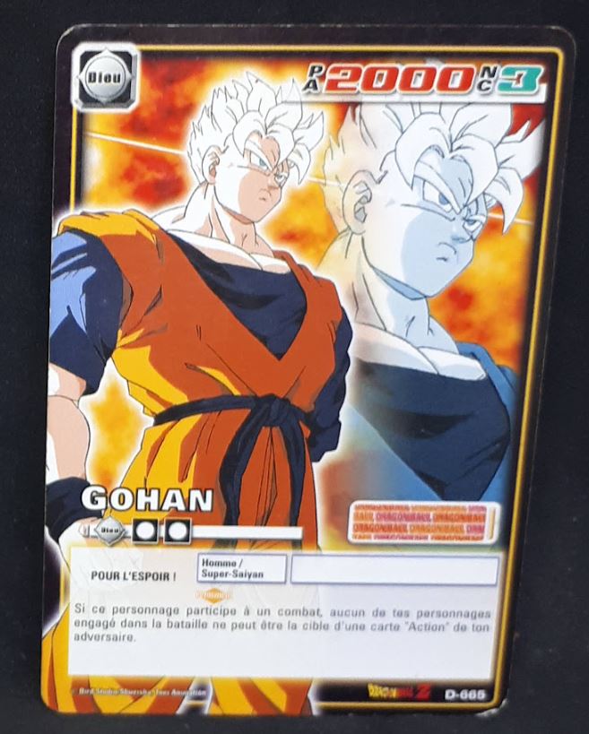Carte Dragon Ball Z Cartes À Jouer Et À Collectionner Part 7 n°D-665 (pouvoir cache enfer) (2008) Bandai mirai songohan dbz 