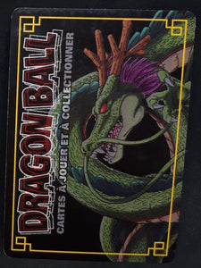 Carte Dragon Ball Z Cartes À Jouer Et À Collectionner Part 9 n°D-834 (pouvoir cache PA 6000) (2008) Bandai majin buu forme d'origine dbz holo prisme foil cardamehdz verso