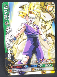 Carte Dragon Ball Z Data Carddass DBKaï Dragon Battlers Part 2 n°B062-2 (2009) Bandai songohan dbz 