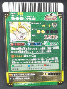 Carte Dragon Ball Z Data Carddass DBKaï Dragon Battlers Part 2 n°B062-2 (2009) Bandai songohan dbz 