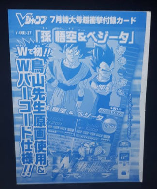 Data Carddass DBZ W Bakuretsu Impact Carte hors series V-001-IV (2008)