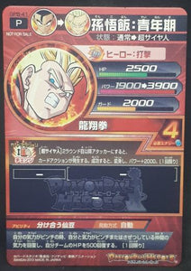 carte Dragon Ball Heroes Galaxie Mission Carte hors series GPB-41 (2013) bandai songohan dbh gm cardamehdz