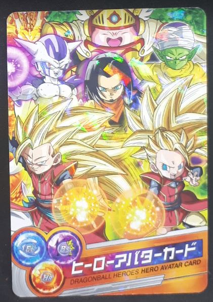 Dragon Ball Heroes Hero Avatar Card 1 (2014)