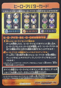 Dragon Ball Heroes Hero Avatar Card 1 (2014)