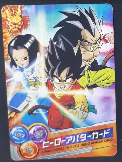 Dragon Ball Heroes Hero Avatar Card 46 (2010)