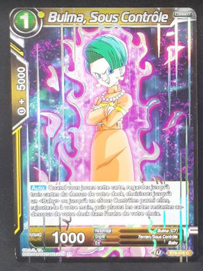 BT8-076 C (fr) (foil)