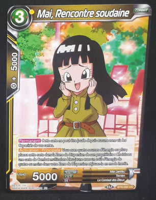 BT8-080 C (2019) (fr)