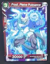 Charger l&#39;image dans la galerie, carte Dragon Ball Super Card Game Fr Universal Onslaught BT9-014 C (2020) bandai frost pleine puissance dbscg
