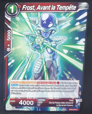 carte Dragon Ball Super Card Game Fr Universal Onslaught BT9-016 C (2020) bandai frost avant la tempete dbscg