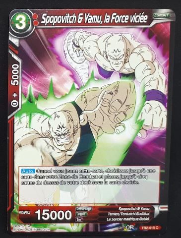 TB2-015 C (fr)
