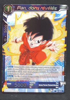 TB2-024 R (fr) (foil)