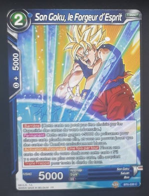 carte Dragon Ball Super Card Game destroyer king BT6-030 C (2019) bandai songoku le forgeur d'esprit dbcsg 