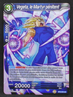 BT6-033 UC (fr)