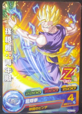 tcg jcc carte Dragon Ball Heroes God Mission Part 10 HGD10-03 (2016) bandai songohan dbh gdm cardamehdz