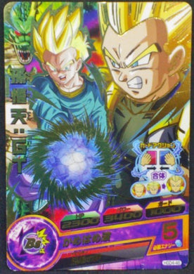 Dragon Ball Heroes God Mission Part 4 HGD4-46 (2015)