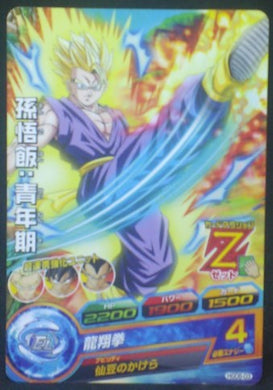 tcg jcc carte Dragon Ball Heroes God Mission Part 6 HGD6-03 (2016) bandai songohan dbh gdm cardamehdz