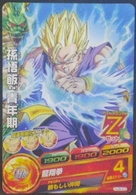 trading card game jcc carte Dragon Ball Heroes Jaakuryu Mission Part 8 HJ8-03 (2015) bandai Songohan dbh jm cardamehdz