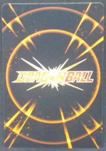 trading card game jcc carte IC Carddass Part 1 BT1-029 Dendé bandai 2015