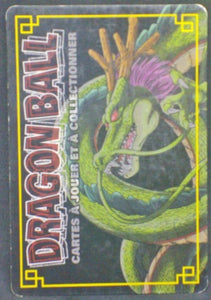 trading card game jcc carte dragon ball collection Cartes À Jouer Et À Collectionner Part 7 D-646 (2008) bandai suno DB