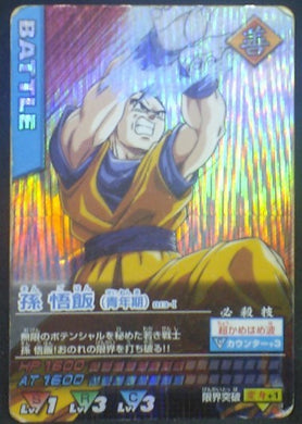 tcg jcc carte dragon ball z Data Carddass Part 1 n°013-I (2005) Bandai Songohan dbz cardamehdz