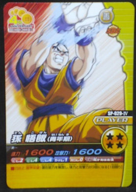 trading card game jcc carte dragon ball z Data Carddass W Bakuretsu Impact Part 6 n°SP-029-IV (2009) bandai songohan dbz cardamehdz