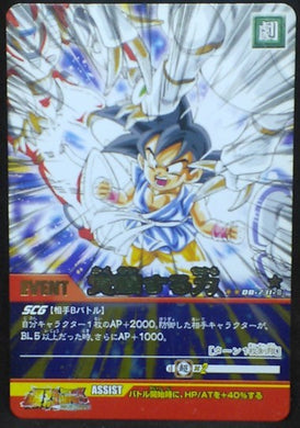 trading card game jcc carte dragon ball z Super Card Game Part combo sheet 3 DB-731 (2007) bandai songoku dbz cardamehdz